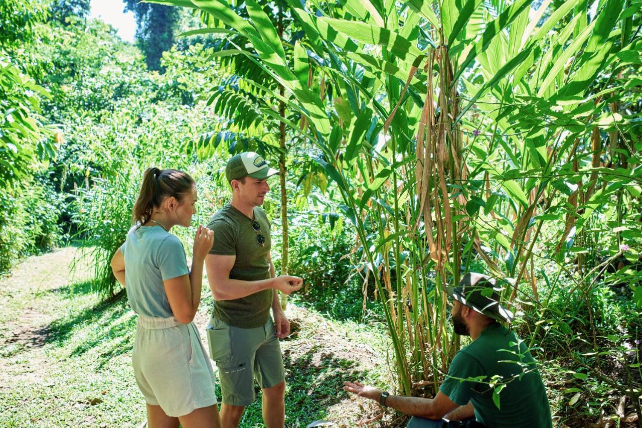 Finca Luna Nueva Lodge La Fortuna 외부 사진