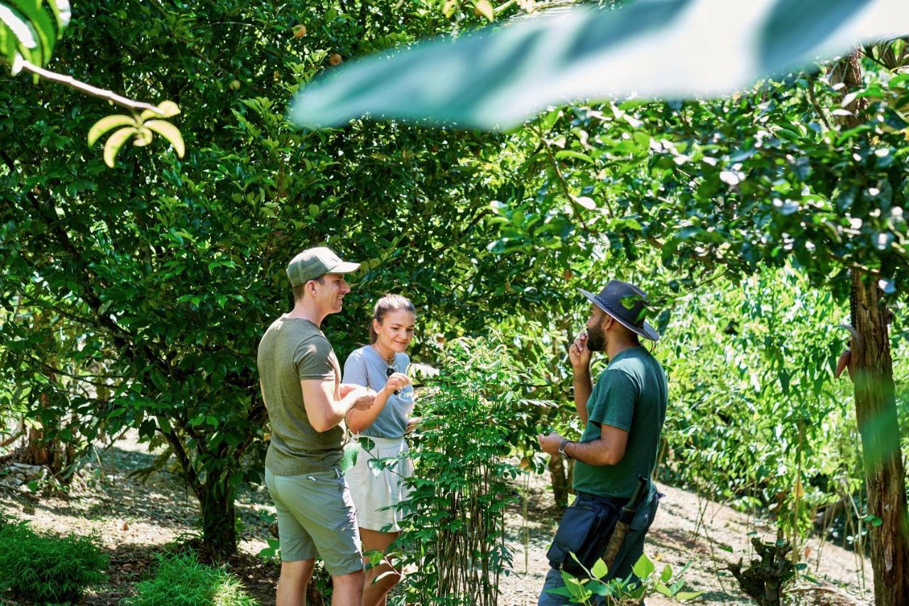 Finca Luna Nueva Lodge La Fortuna 외부 사진