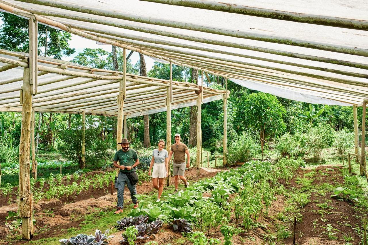 Finca Luna Nueva Lodge La Fortuna 외부 사진