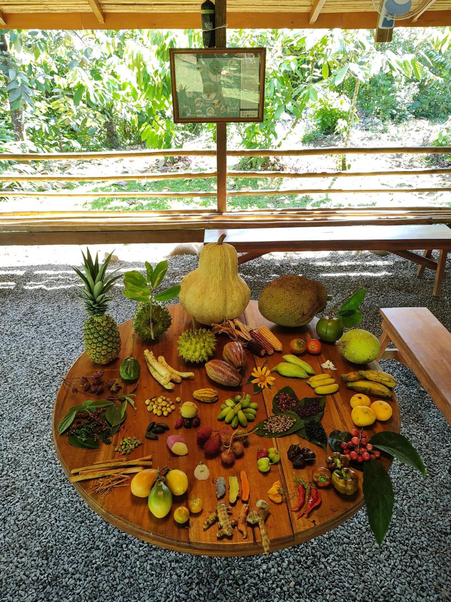 Finca Luna Nueva Lodge La Fortuna 외부 사진